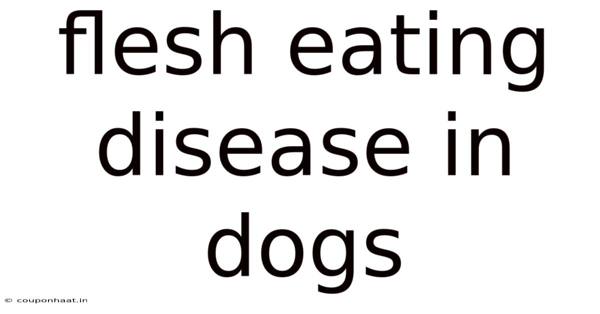 Flesh Eating Disease In Dogs