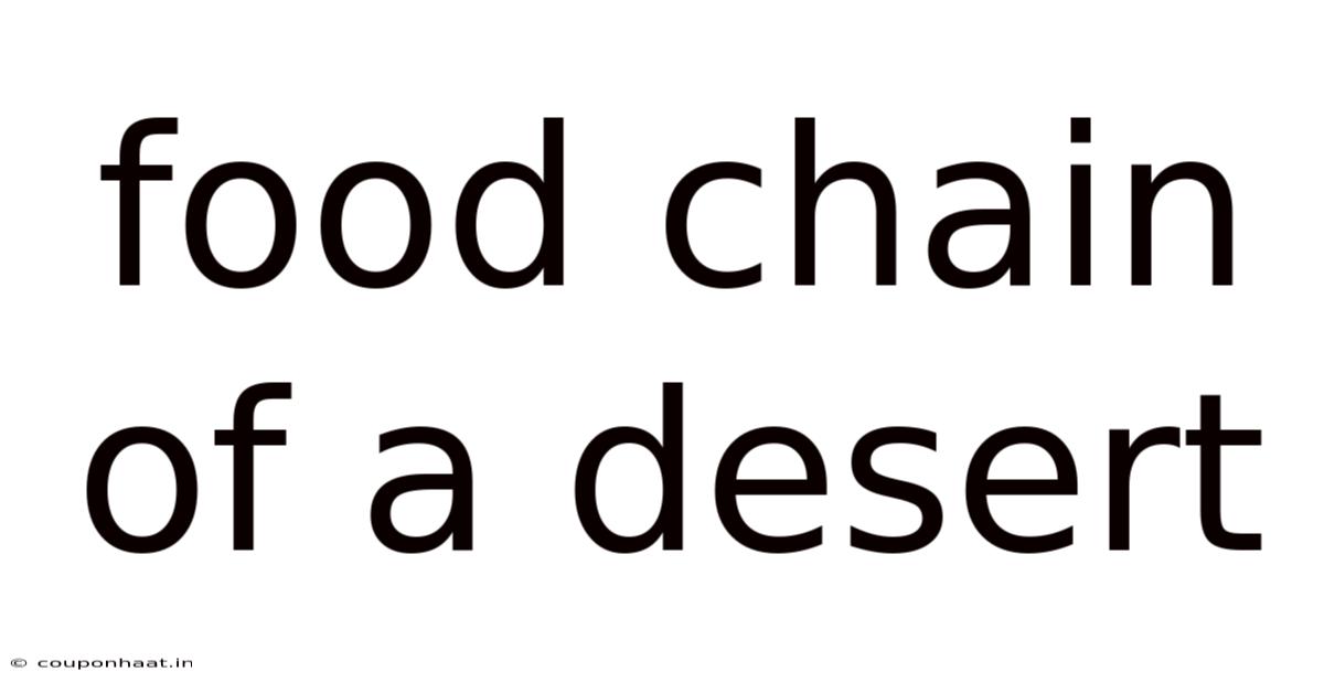 Food Chain Of A Desert