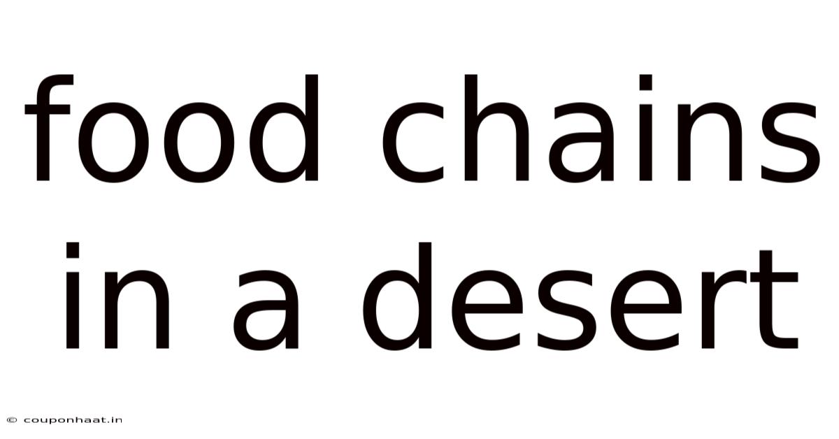 Food Chains In A Desert