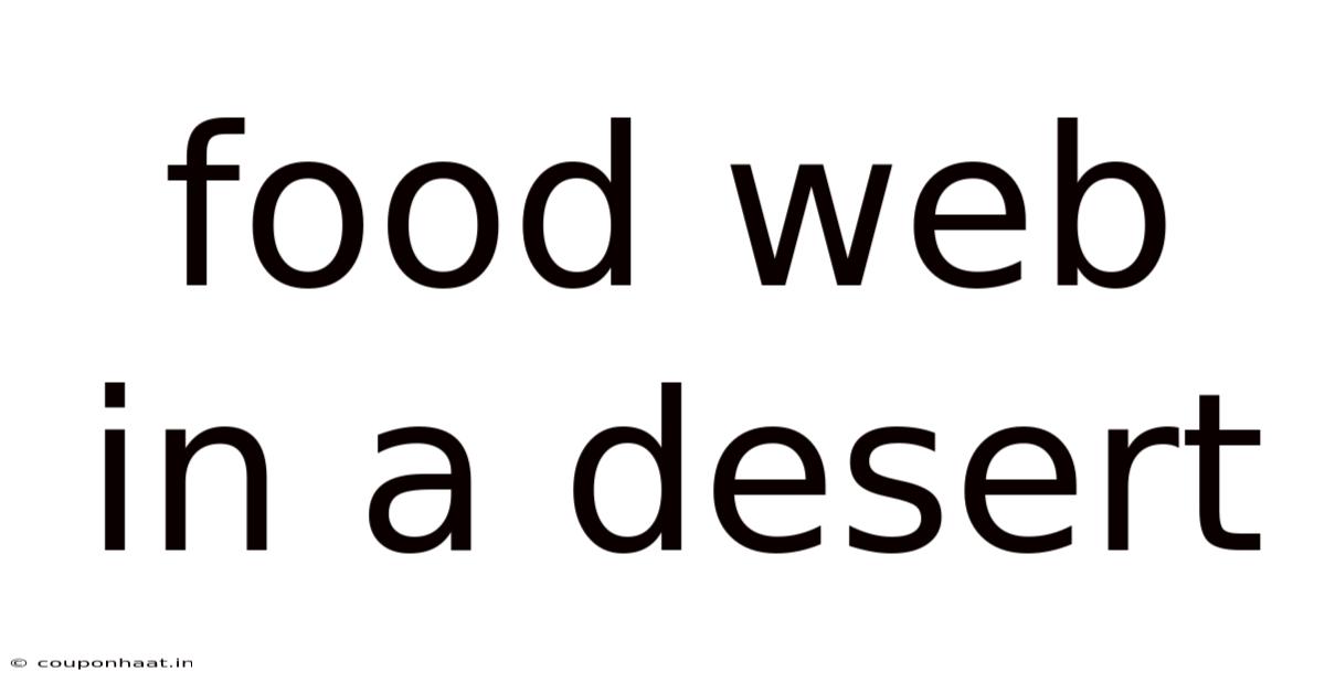 Food Web In A Desert