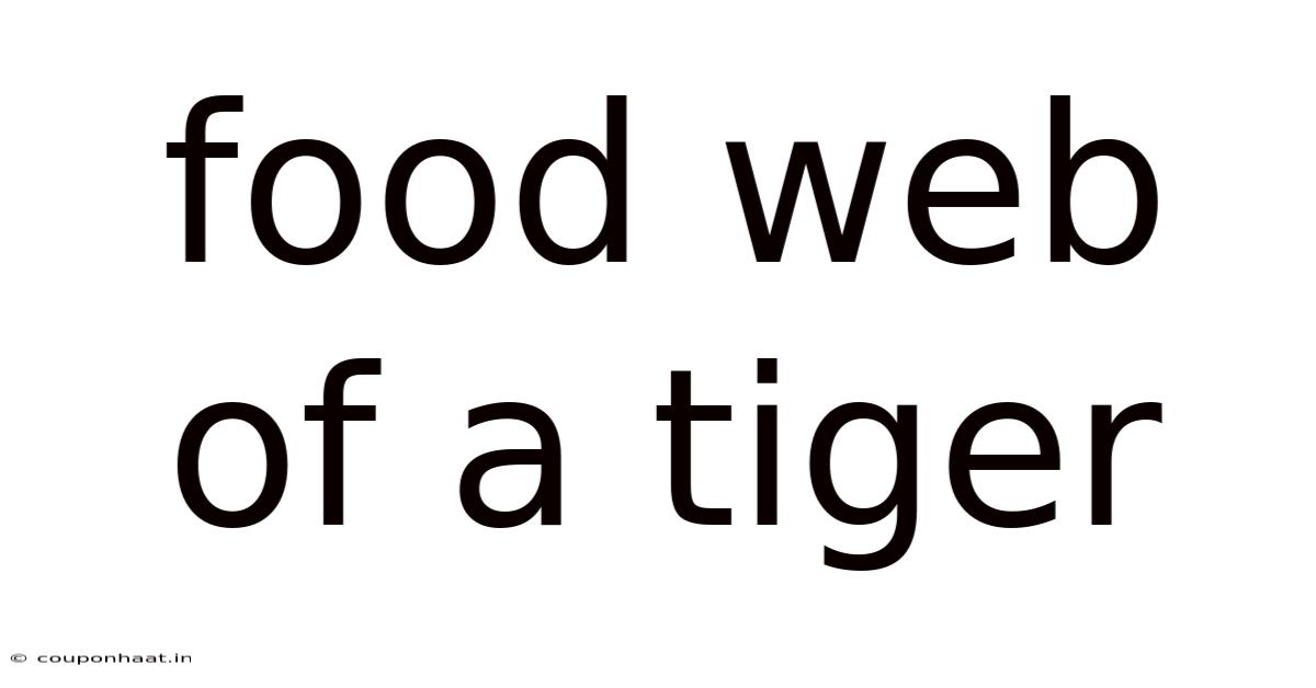 Food Web Of A Tiger