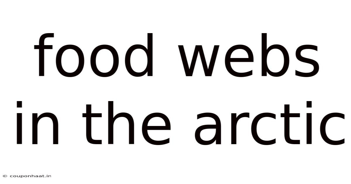 Food Webs In The Arctic