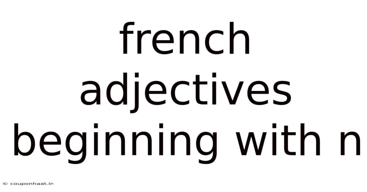French Adjectives Beginning With N