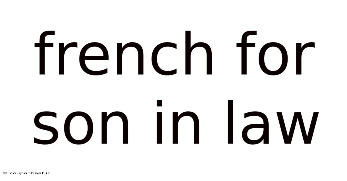 French For Son In Law