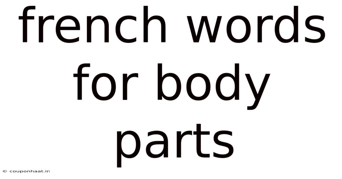 French Words For Body Parts