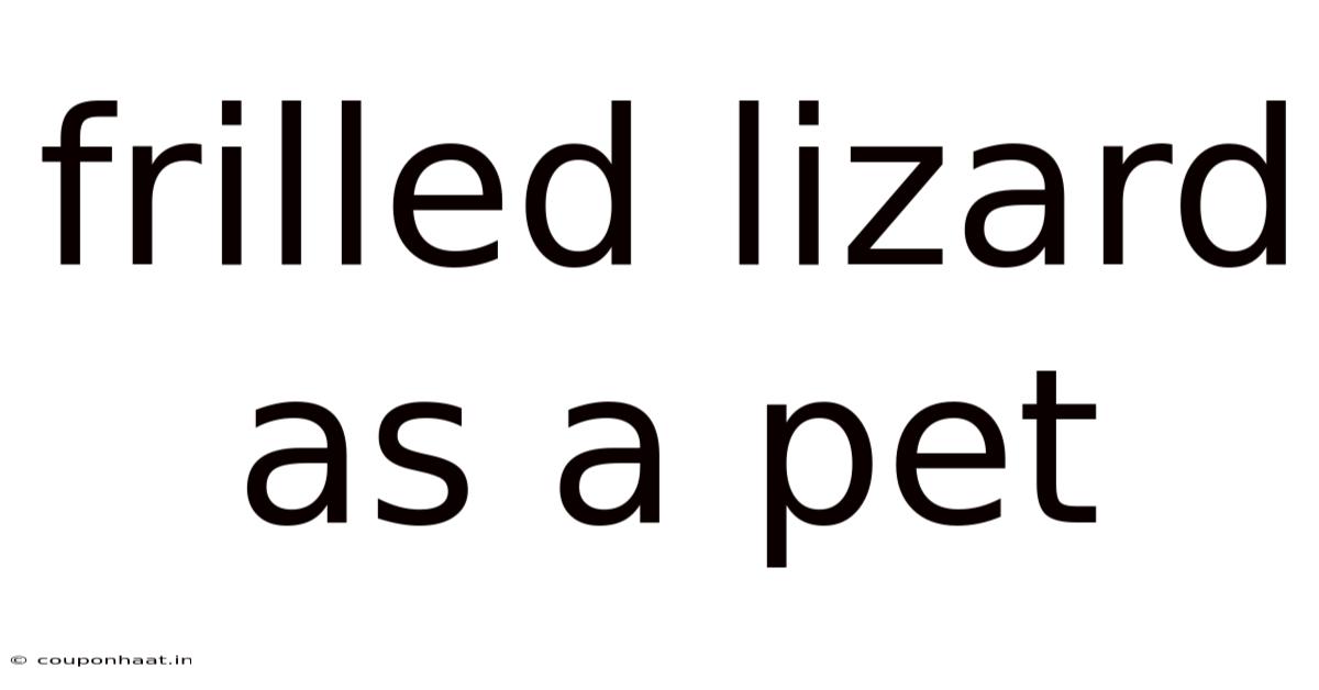 Frilled Lizard As A Pet