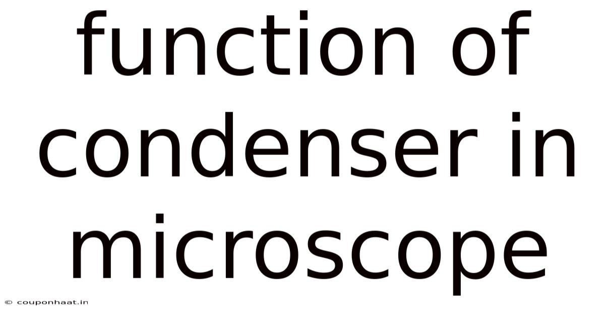 Function Of Condenser In Microscope