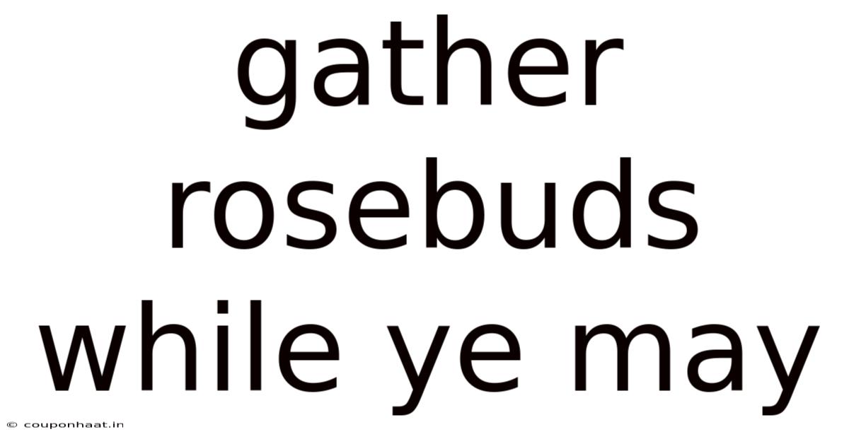 Gather Rosebuds While Ye May