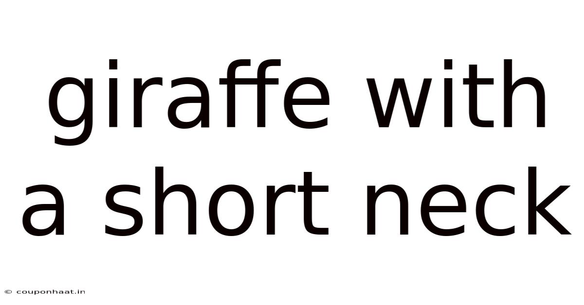 Giraffe With A Short Neck
