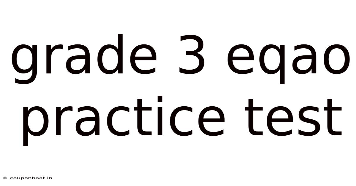 Grade 3 Eqao Practice Test