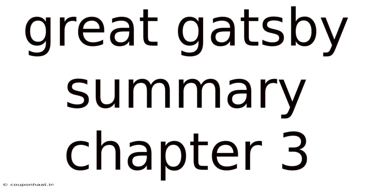 Great Gatsby Summary Chapter 3