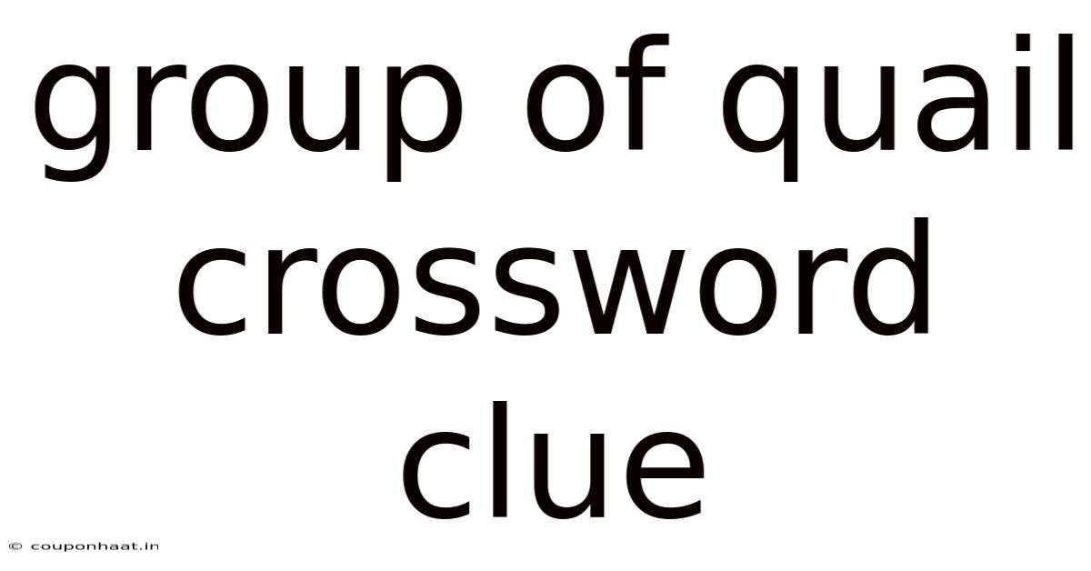 Group Of Quail Crossword Clue