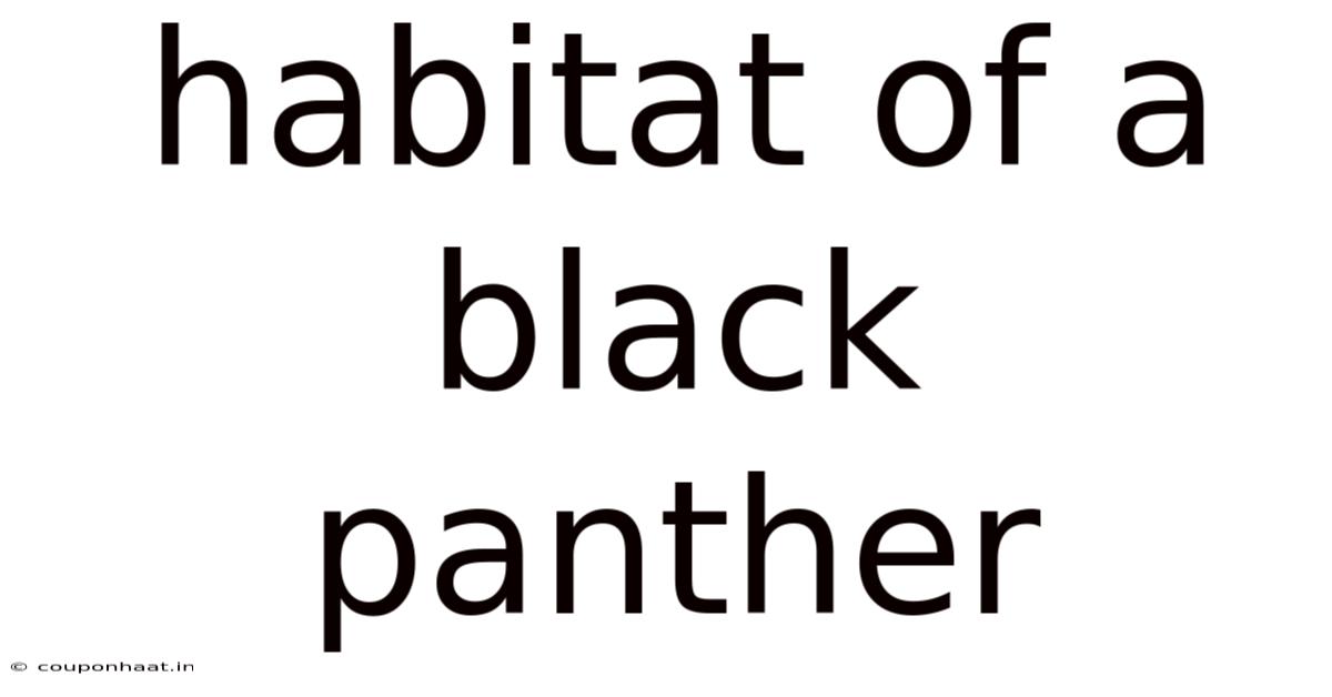 Habitat Of A Black Panther