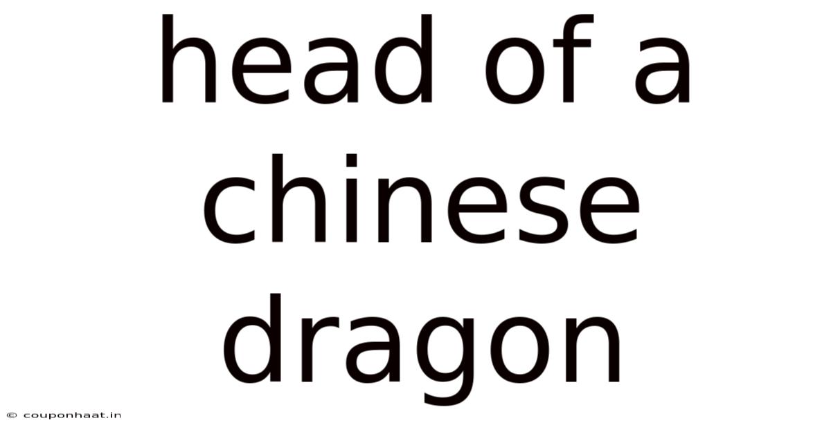 Head Of A Chinese Dragon