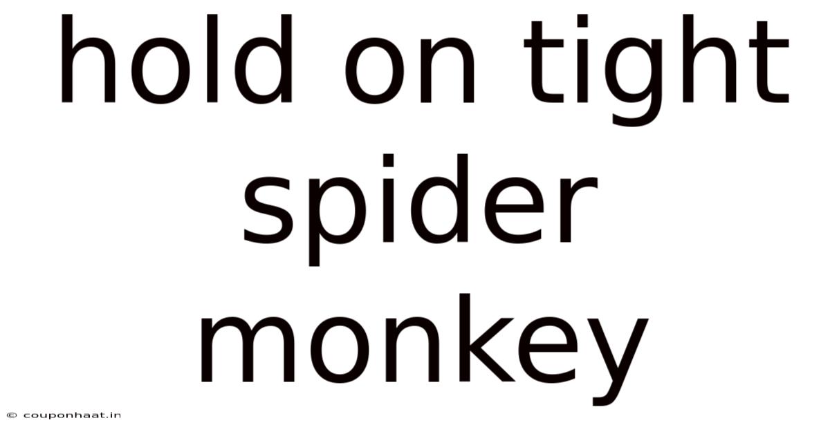 Hold On Tight Spider Monkey