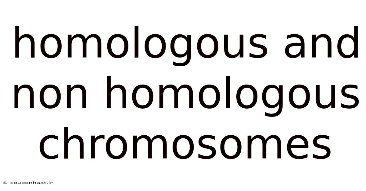 Homologous And Non Homologous Chromosomes