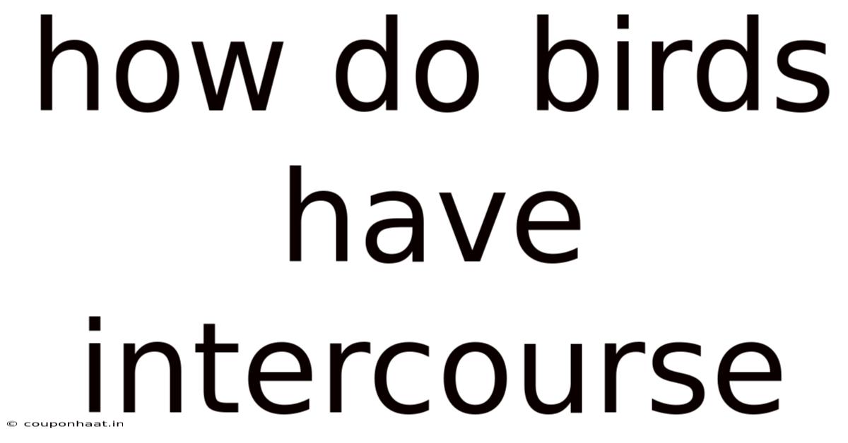 How Do Birds Have Intercourse