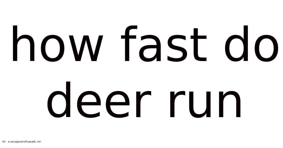 How Fast Do Deer Run