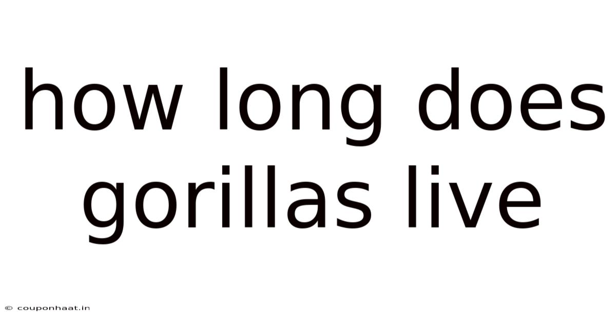How Long Does Gorillas Live