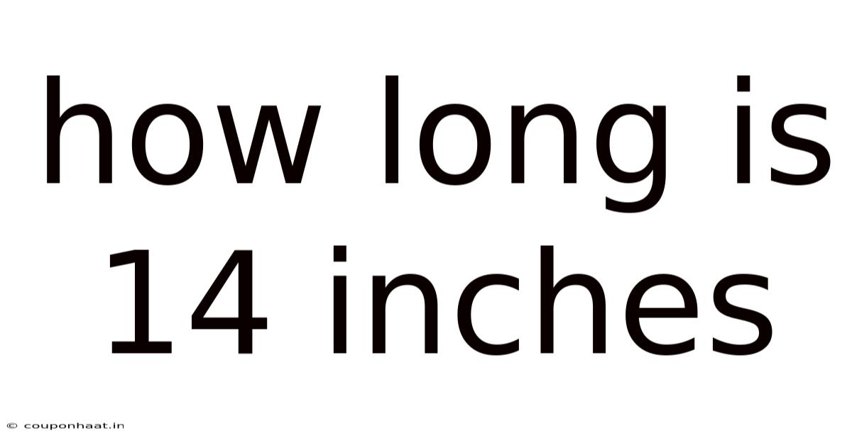 How Long Is 14 Inches