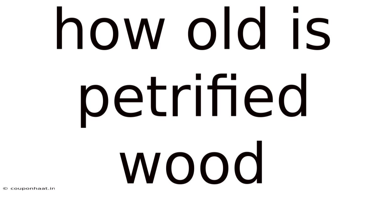 How Old Is Petrified Wood