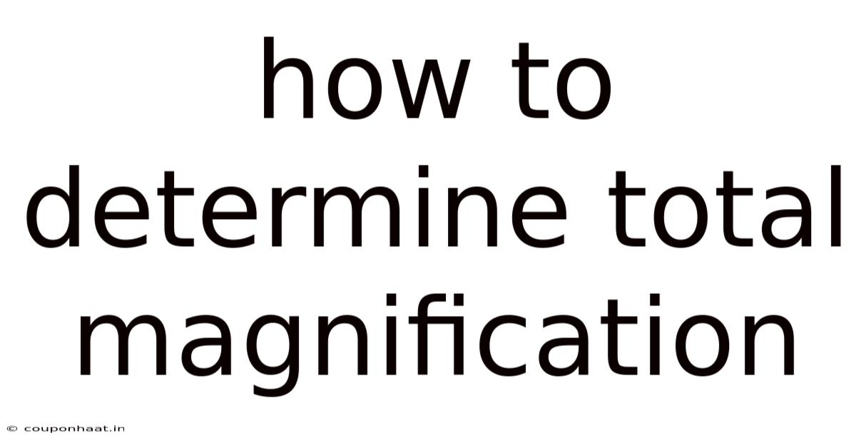 How To Determine Total Magnification