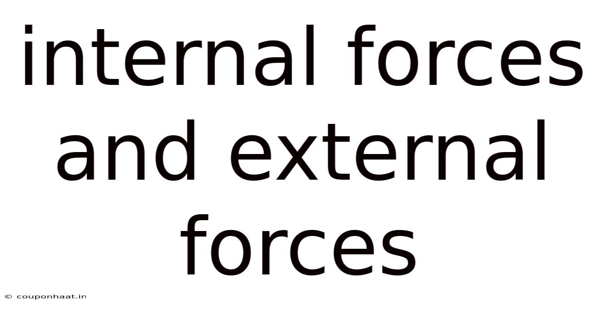 Internal Forces And External Forces