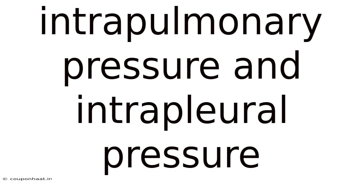 Intrapulmonary Pressure And Intrapleural Pressure
