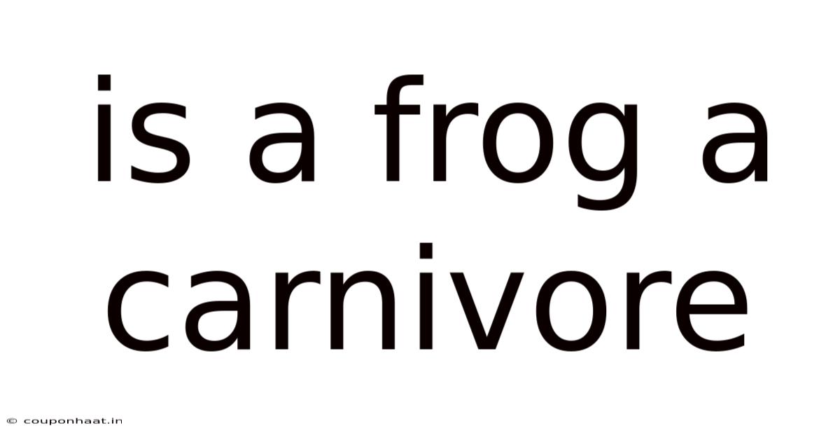Is A Frog A Carnivore