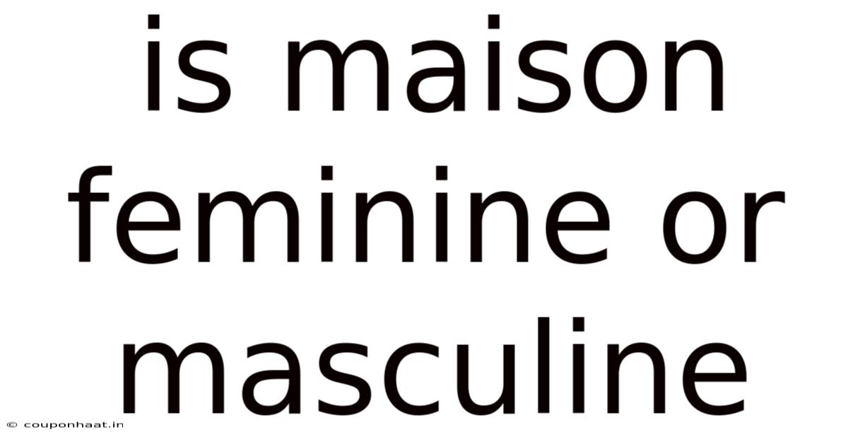 Is Maison Feminine Or Masculine