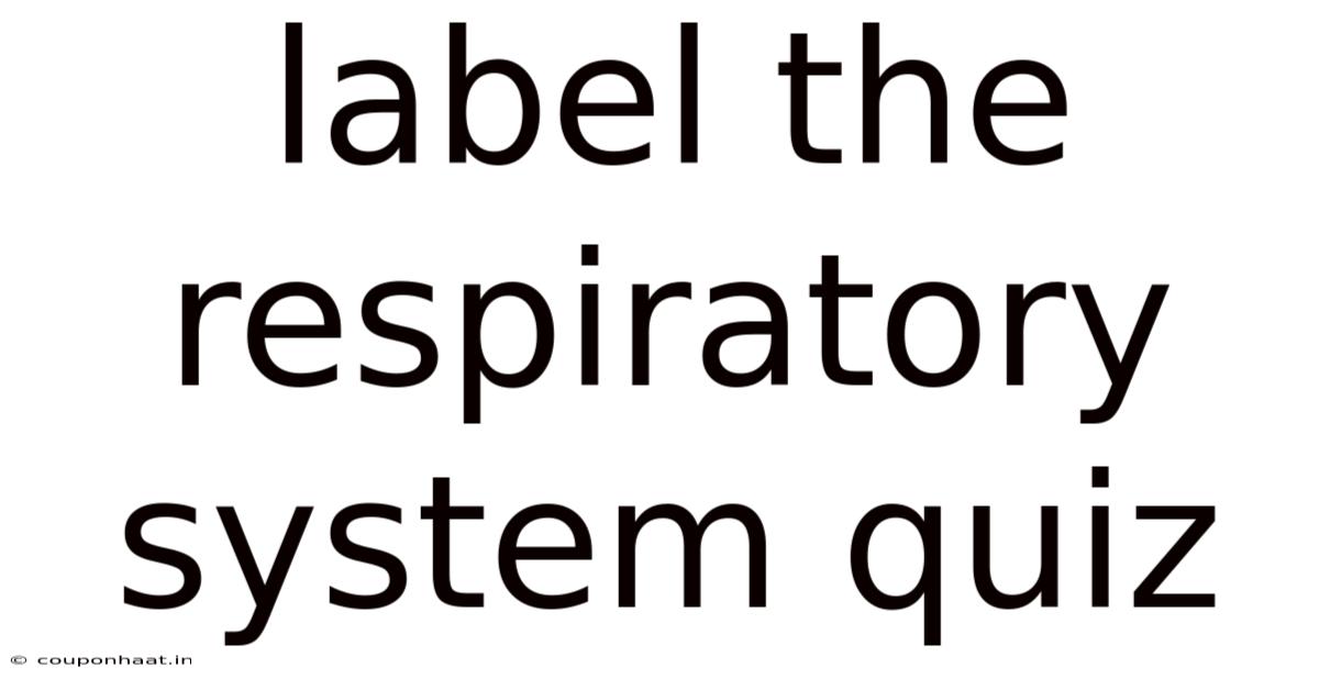 Label The Respiratory System Quiz