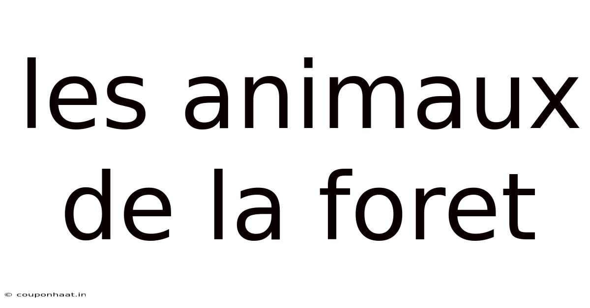 Les Animaux De La Foret