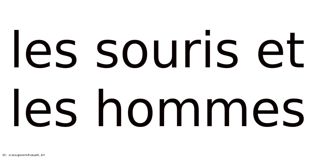 Les Souris Et Les Hommes