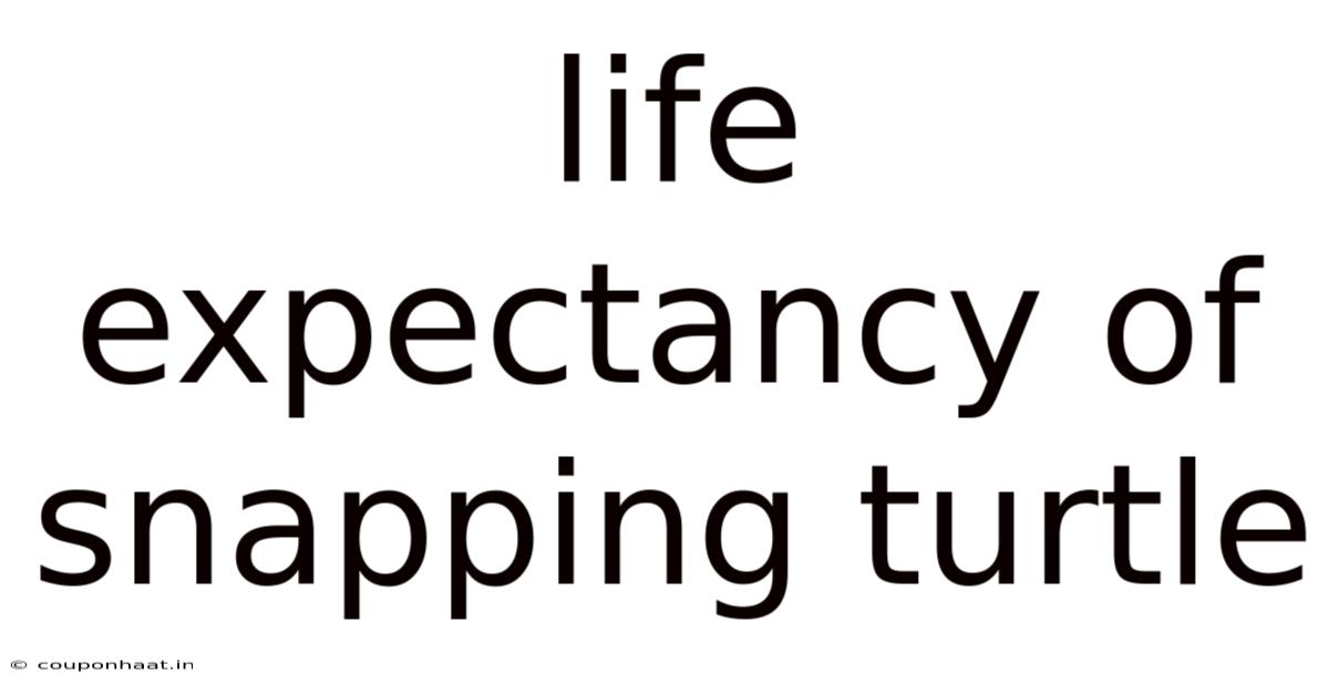 Life Expectancy Of Snapping Turtle