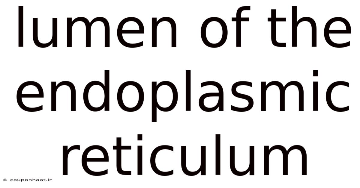 Lumen Of The Endoplasmic Reticulum