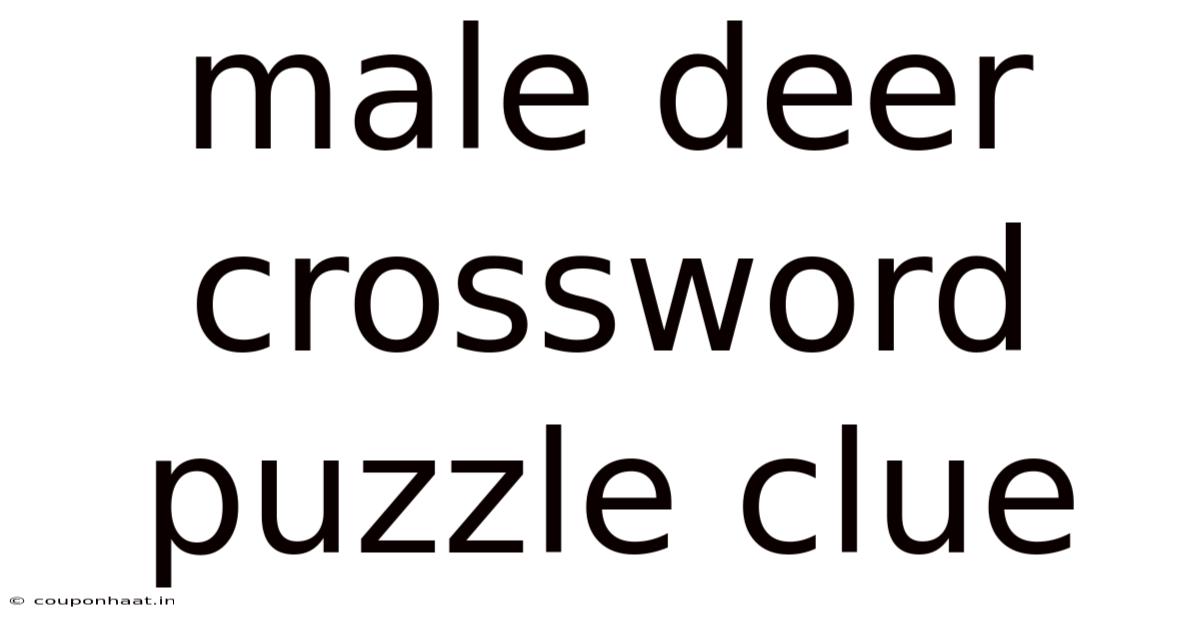 Male Deer Crossword Puzzle Clue