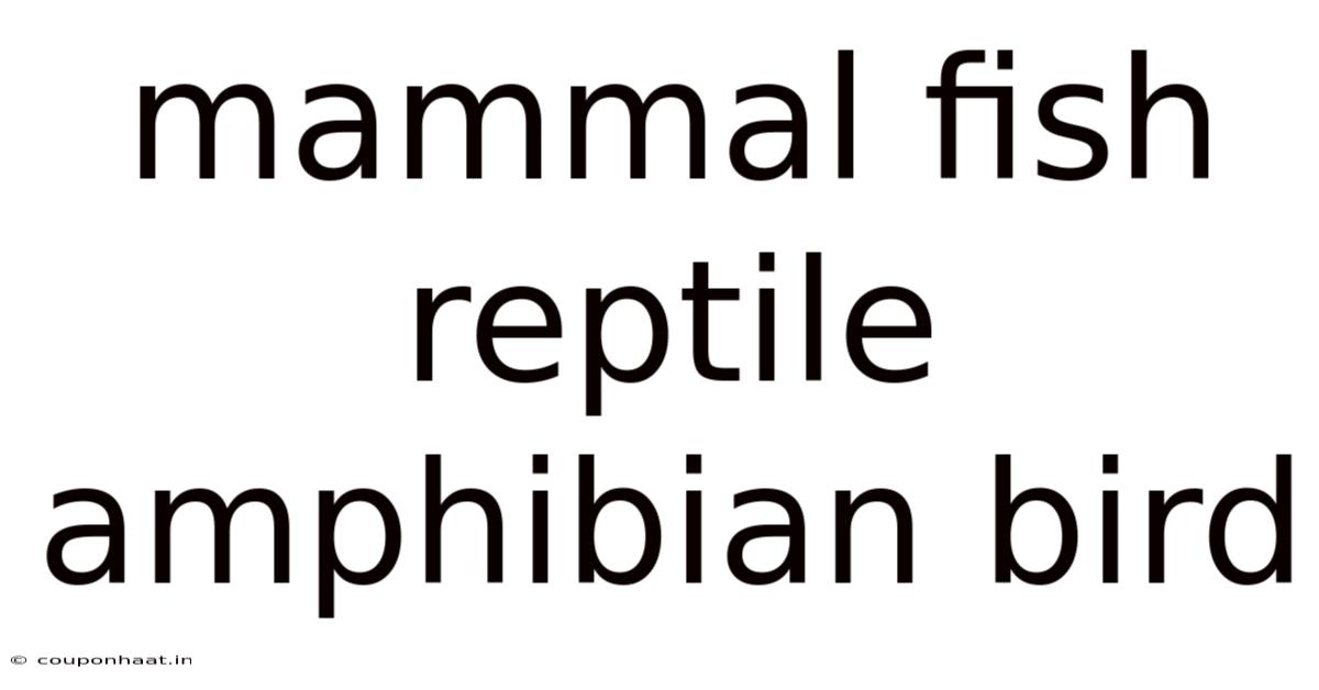 Mammal Fish Reptile Amphibian Bird