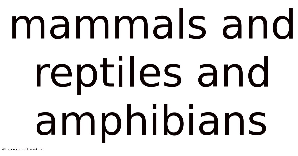 Mammals And Reptiles And Amphibians