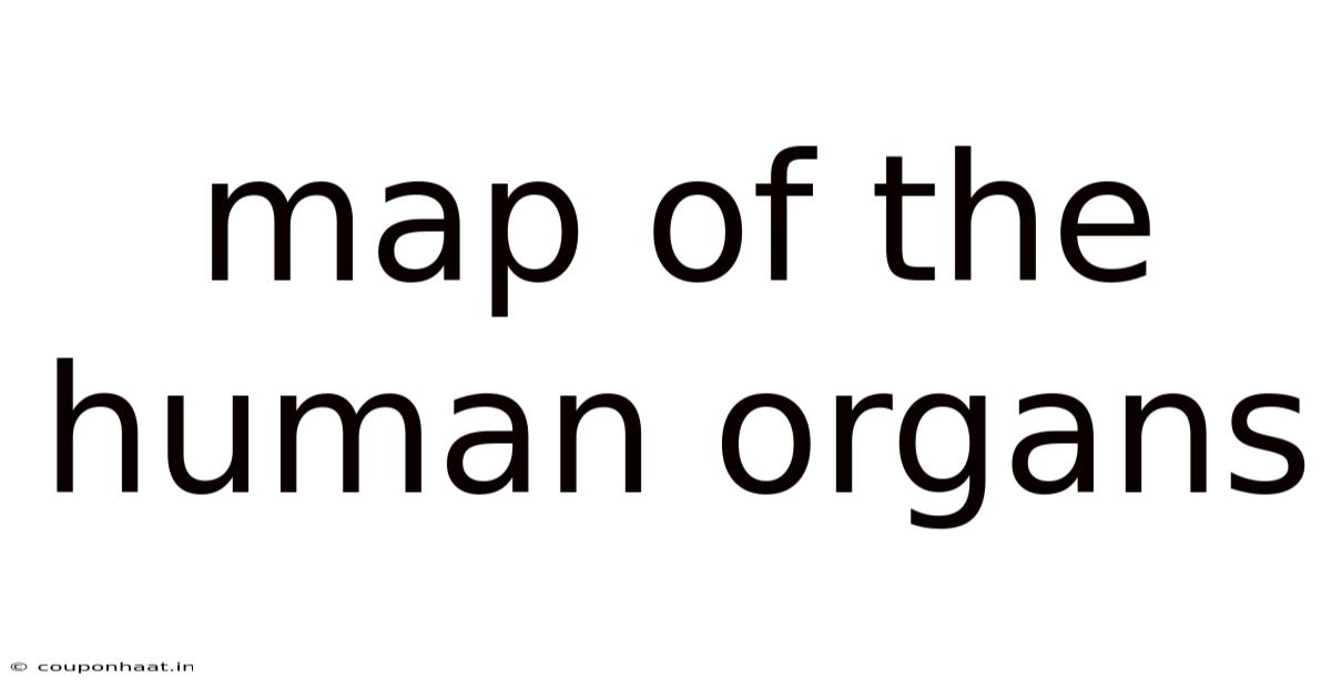 Map Of The Human Organs