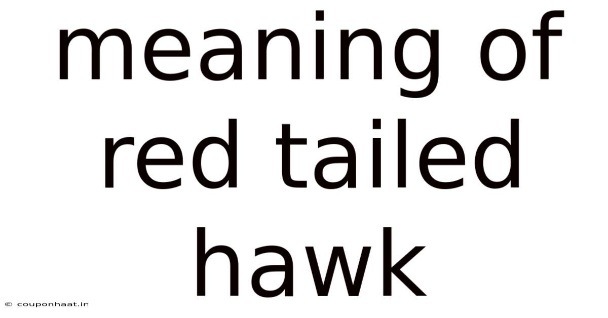 Meaning Of Red Tailed Hawk