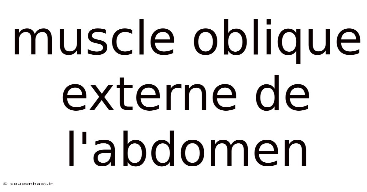 Muscle Oblique Externe De L'abdomen
