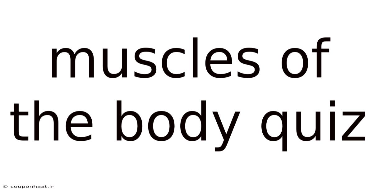 Muscles Of The Body Quiz