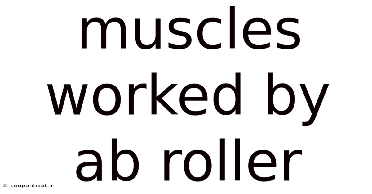Muscles Worked By Ab Roller