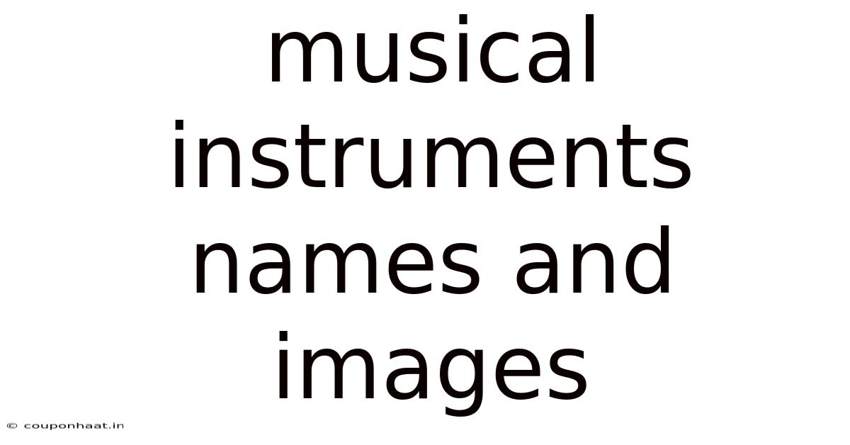 Musical Instruments Names And Images