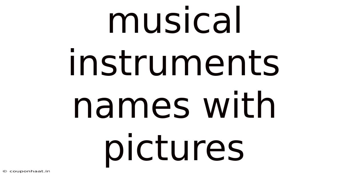 Musical Instruments Names With Pictures