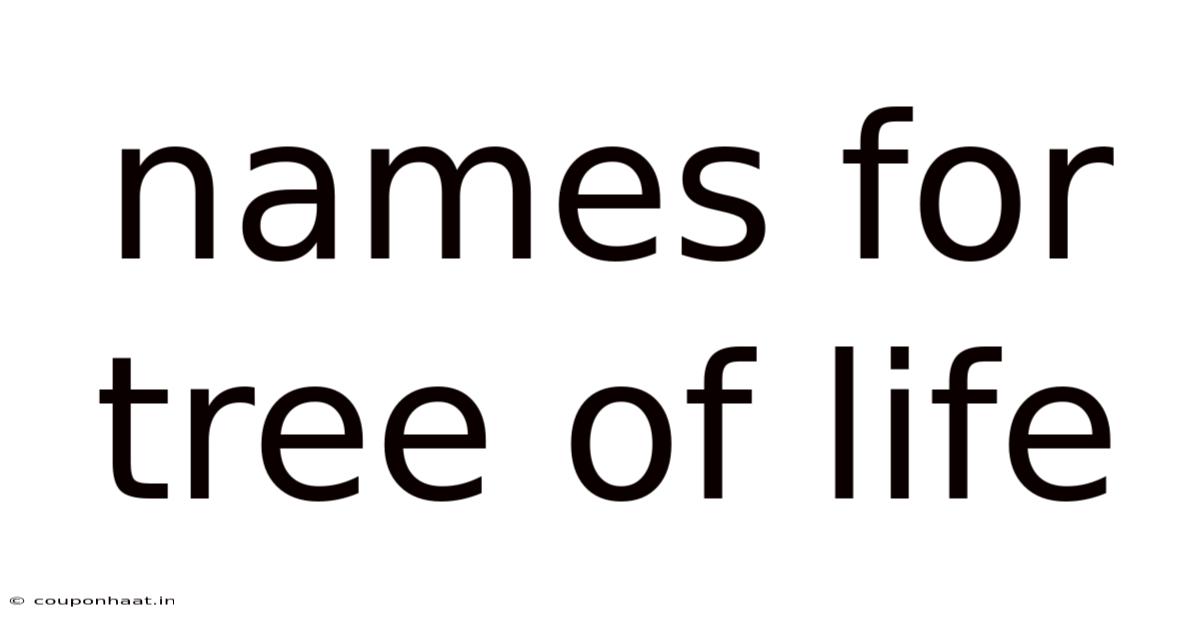 Names For Tree Of Life
