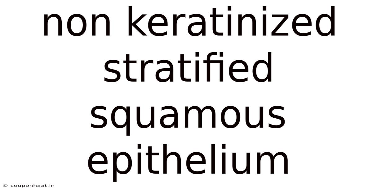 Non Keratinized Stratified Squamous Epithelium