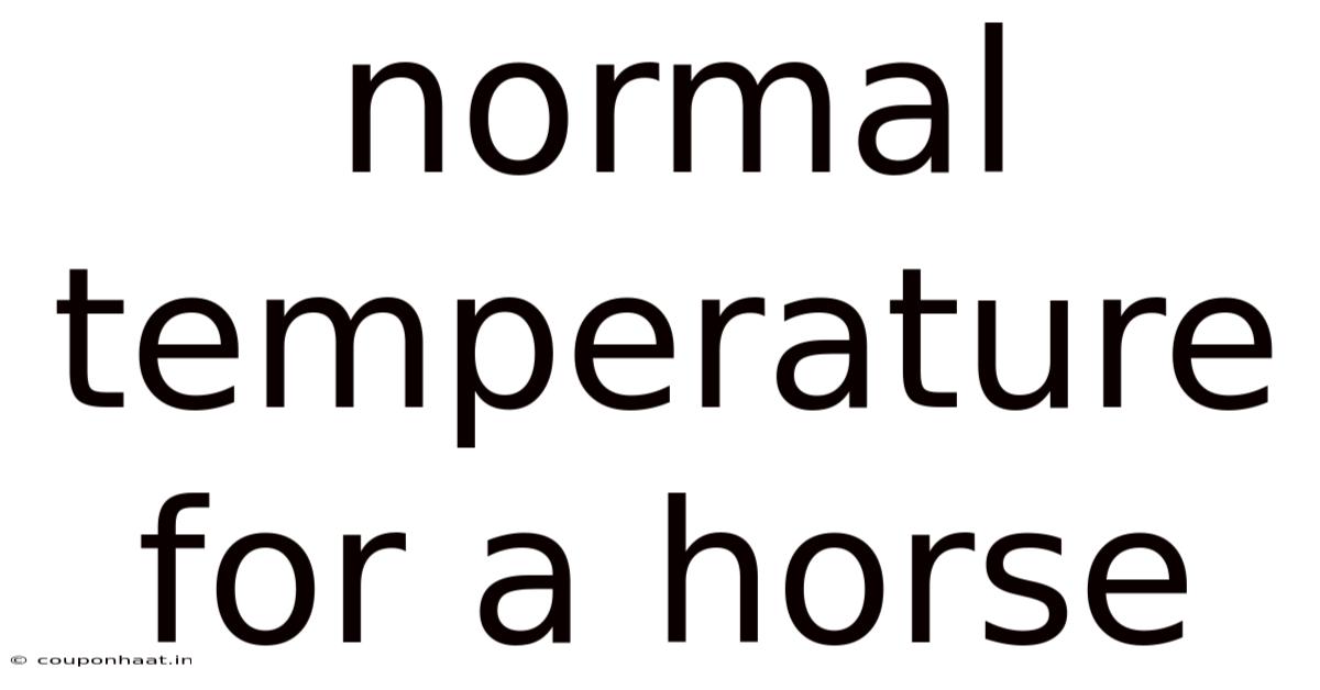 Normal Temperature For A Horse