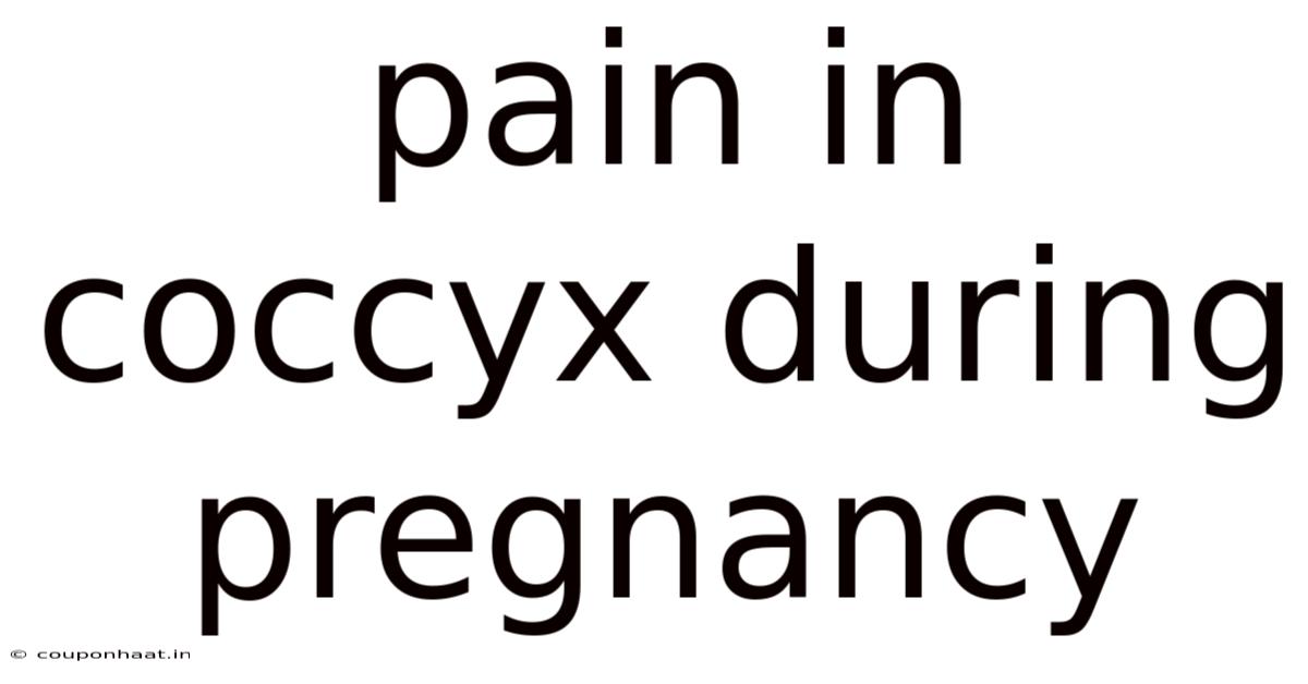 Pain In Coccyx During Pregnancy