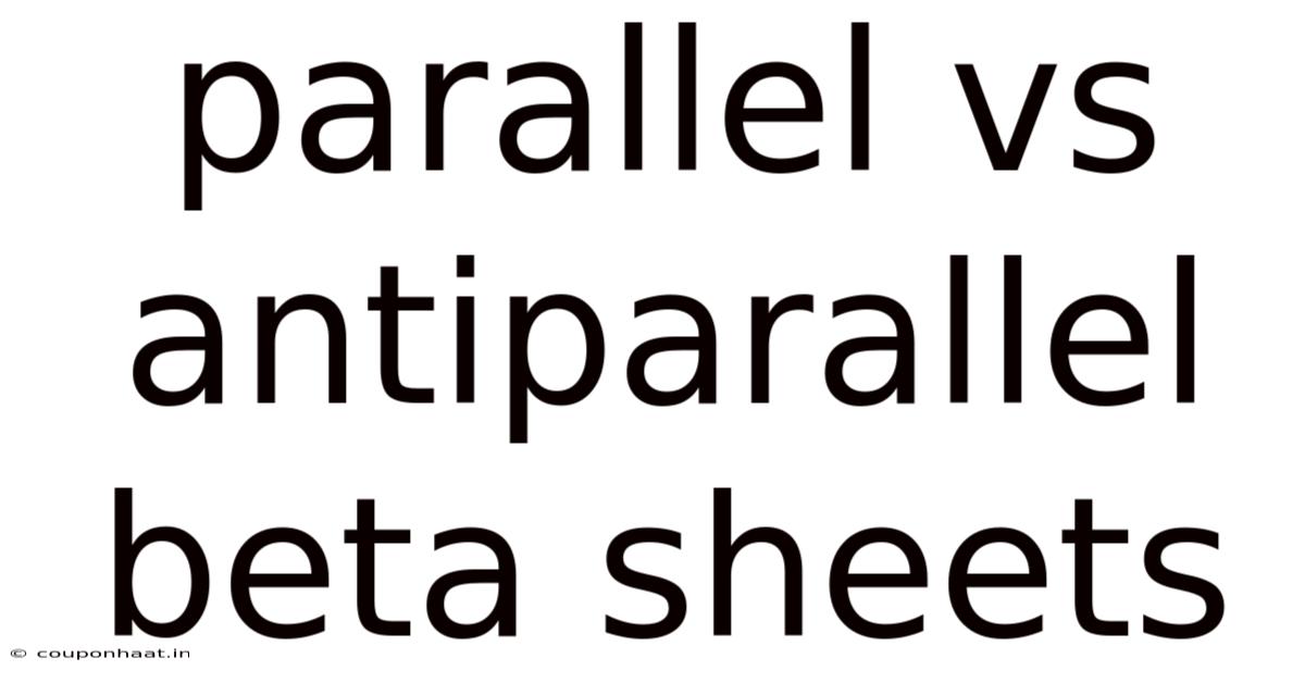 Parallel Vs Antiparallel Beta Sheets